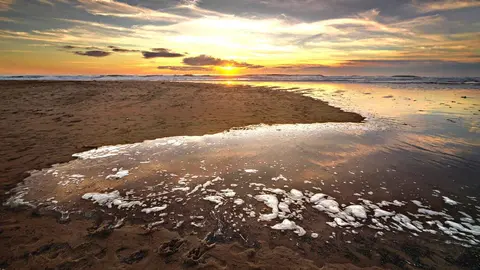 La Playa del El Palmar entre las 10 mejores playas de la provincia de C&aacute;diz