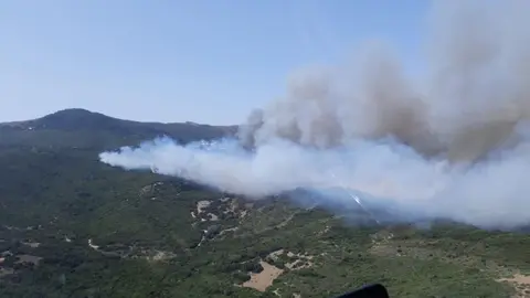 Las llamas han afectado a la tierra en Tarifa una semana