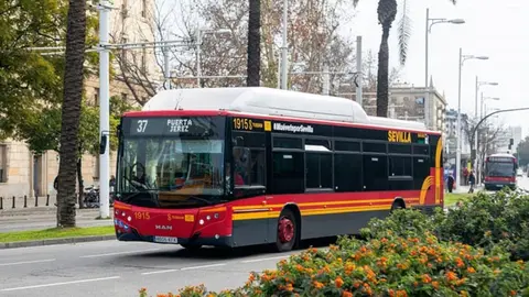 Autobuses urbanos de Sevilla