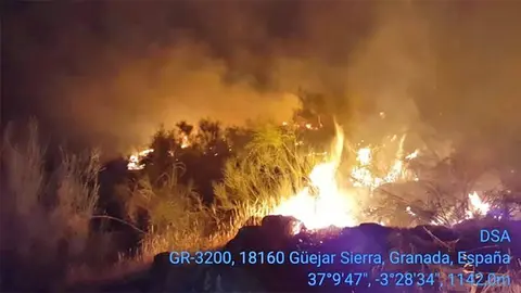 Un hombre de 70 a&ntilde;os sospechoso de quemar 10.000 metros cuadrados de olivar en G&uuml;&eacute;jar Sierra   