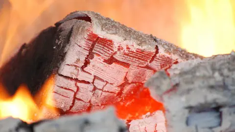 Pavaseas en el incendio de Sierra Bermeja en la provincia de M&aacute;laga