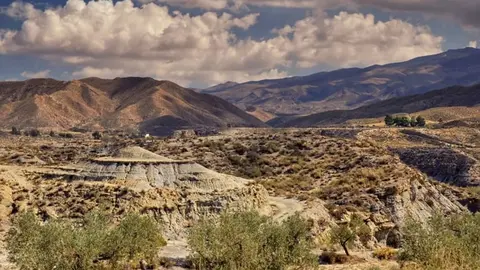 Webp.net-resizeimage (3)