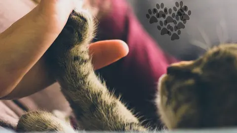 Dise&ntilde;o sin t&iacute;tulo (38)