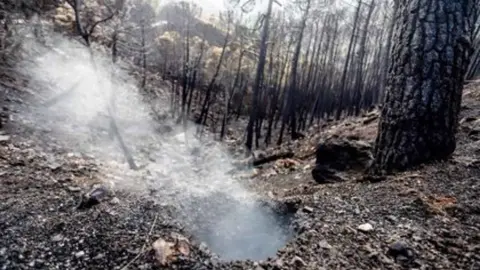 Dise&ntilde;o sin t&iacute;tulo (86)