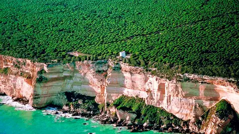 Parque Natural de la Bre&ntilde;a y Marismas de Barbate