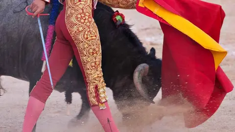 Toros