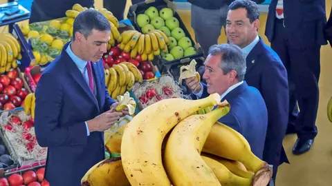 10 beneficios del pl&aacute;tano de Canarias que comieron Pedro S&aacute;nchez y Juanma Moreno en Sevilla
