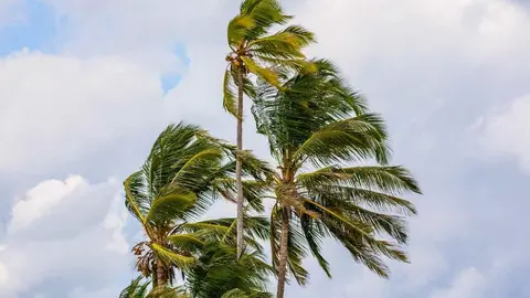 Alerta Amarilla el domingo por fuertes vientos de levante en la costa de C&aacute;diz