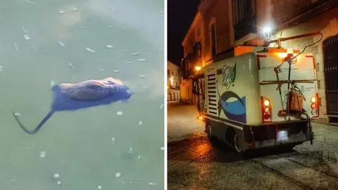 El Ayuntamiento de Jerez intensifica las labores de limpieza tras la denuncia de El MIRA