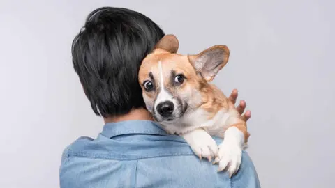 5 cosas que los perros odian de los humanos