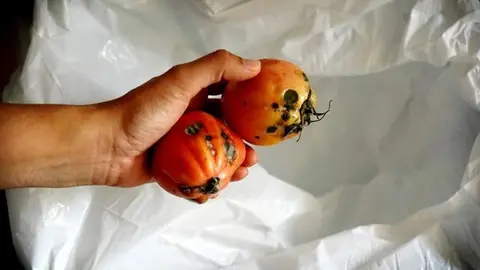 El Gobierno quiere que las tiendas vendan alimentos feos