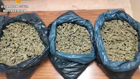 Marihuana incautada en Rute (C&oacute;rdoba)