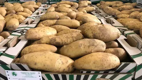 Las patatas de Sanl&uacute;car arrasan en Amazon