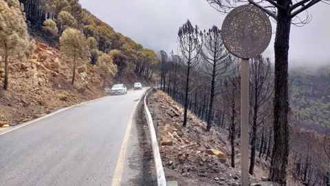 Carretera afectada por el incendio de Sierra Bermeja