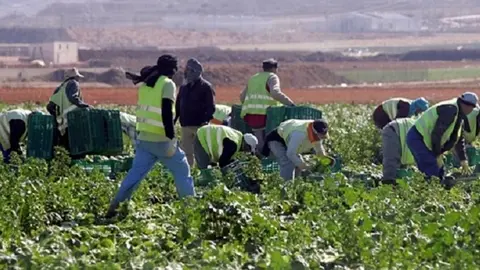 Inmigrantes explotados laboralmente en Sevilla
