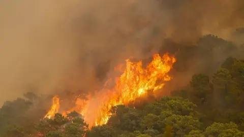 El incendio de Sierra Bermeja en M&aacute;laga