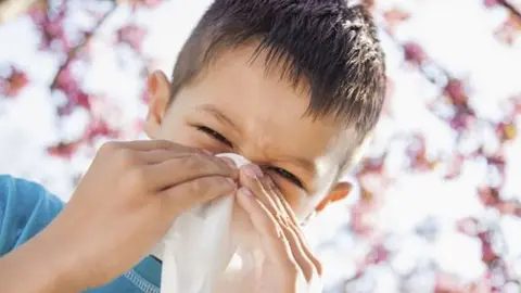 Virus que renacen con fuerza tras el Covid-19