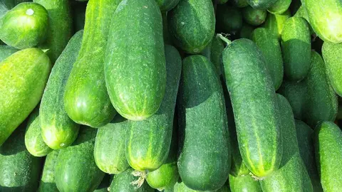 As&iacute; el pepino estimula el crecimiento del cabello
