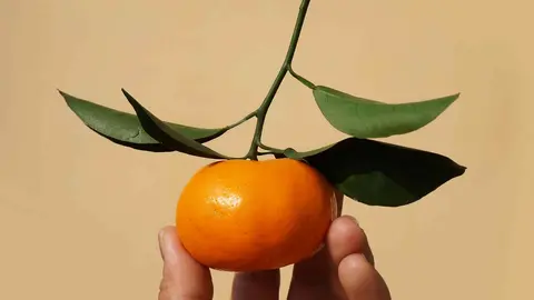 C&oacute;mo la mandarina ayuda a la recuperaci&oacute;n f&iacute;sica
