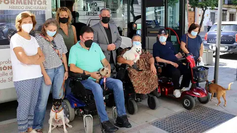 Los autobuses de Jerez&nbsp;permitir&aacute;n a personas en silla de ruedas viajar con sus mascotas