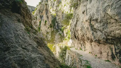 Dise&ntilde;o sin t&iacute;tulo - 2021-11-09T110055.597