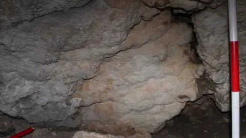 Nueva pintura rupestre en la Cueva de Nerja (M&aacute;laga)