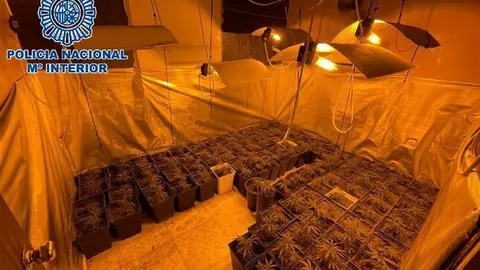 
<p>   EL PUERTO DE SANTA MAR&Iacute;A (C&Aacute;DIZ), 10 (EUROPA PRESS)</p>
<p>   Agentes de la Polic&iacute;a Nacional han detenido en El Puerto de Santa Mar&iacute;a (C&aacute;diz) a una mujer de 54 a&ntilde;os y vecina de Jerez de la Frontera como presunta autora de un delito contra la salud p&uacute;blica. La detenida  ten&iacute;a m&aacute;s de 100 plantas de marihuana en el interior de un inmueble ubicado en la sierra de San Crist&oacute;bal.</p>
<p>   Seg&uacute;n ha informado la Polic&iacute;a en una nota, la operaci&oacute;n se inici&oacute; cuando los agentes de la Unidad de Prevenci&oacute;n y Reacci&oacute;n (UPR), integrantes de la Brigada Local de Seguridad Ciudadana, detectaron la ubicaci&oacute;n de una posible plantaci&oacute;n de marihuana.</p>
<p>   Por este motivo, los polic&iacute;as requirieron la presencia de la propietaria de la parcela y, ante los indicios de la posible comisi&oacute;n de un il&iacute;cito penal y teniendo sospecha que la acusada pudiese ocultar en el interior de la vivienda una plantaci&oacute;n de marihuana, se solicit&oacute; la orden de entrada y registro, sald&aacute;ndose dicha intervenci&oacute;n con la incautaci&oacute;n de 110 plantas de marihuana y una bolsa que conten&iacute;a 2,32 kg de cogollos de marihuana.</p>
<p>   Por tales hechos se procedi&oacute; a la detenci&oacute;n de la mujer, que fue trasladada a dependencias policiales y, tras finalizar el correspondiente atestado policial, fue puesta a disposici&oacute;n del Juzgado en funciones de guardia de El Puerto de Santa Mar&iacute;a.</p>
<p>   El dispositivo policial ha sido desarrollado por funcionarios policiales pertenecientes a las Brigadas de Seguridad Ciudadana, la  Polic&iacute;a Cient&iacute;fica, quien ha realizado la inspecci&oacute;n ocular, y el grupo de Estupefacientes y GOA, de la Comisar&iacute;a de la Polic&iacute;a Nacional de El Puerto de Santa Mar&iacute;a-Puerto Real.</p>
      