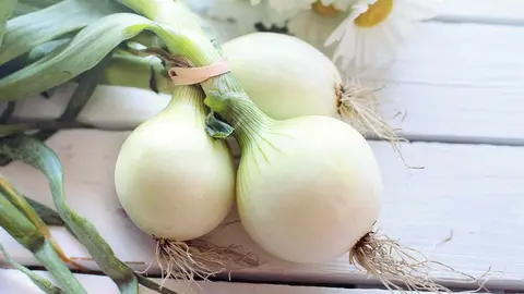 Las propiedades diur&eacute;ticas de la cebolla