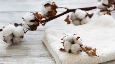 El algod&oacute;n, un aliado de la fabricacion industrial