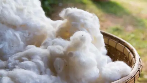 El algod&oacute;n, el mejor aliado de la industria textil