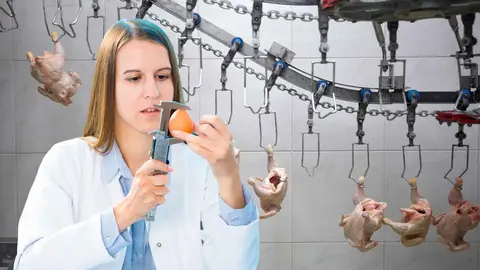 As&iacute; de malos son los alimentos procesados, seg&uacute;n la Universidad de Harvard