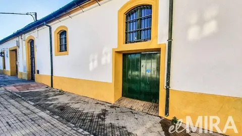 El responsable de la zambomba multitudinaria en Jerez culpa a los medios que publicaron el desalojo