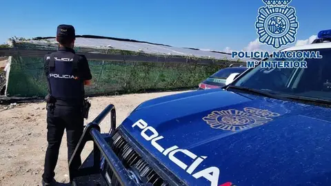
<p>   ROTA (C&Aacute;DIZ), 25 (EUROPA PRESS)</p>
<p>   Agentes de la Polic&iacute;a Nacional han detenido en Rota (C&aacute;diz) a tres personas como presuntos autores de un delito contra la salud p&uacute;blica. Los detenidos son los presuntos responsables de un cultivo de cannabis sativa en el cual se han intervenido m&aacute;s de una tonelada de plantas de  marihuana.</p>
<p>   Seg&uacute;n ha explicado la Polic&iacute;a Nacional en una nota, la operaci&oacute;n, denominada 'Carmagnola', se llev&oacute; a cabo el d&iacute;a 18 cuando agentes especializados del grupo de Polic&iacute;a Judicial de la Comisar&iacute;a de la  Polic&iacute;a Nacional en Rota desmantelaron un punto de cultivo de marihuana ubicado en una finca en la zona rural de El Bercial.</p>
<p>   En el registro realizado los agentes intervinieron m&aacute;s de una tonelada de marihuana y procedieron a la detenci&oacute;n de tres personas por su presunta participaci&oacute;n en los hechos investigados.</p>
<p>   Una vez finalizado el atestado policial, los detenidos fueron puestos a disposici&oacute;n del Juzgado de Instrucci&oacute;n en funciones de guardia en Rota.</p>
      