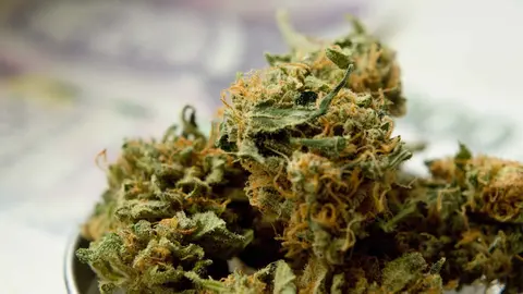 Dise&ntilde;o sin t&iacute;tulo - 2021-12-02T121909.971