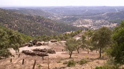 El valle de Los Pedroches en C&oacute;rdoba