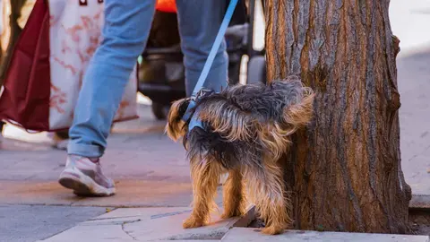 Dise&ntilde;o sin t&iacute;tulo - 2021-12-27T171654.005