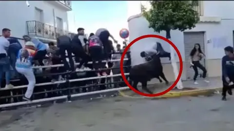 Muere un hombre embestido por una vaquilla mientras grababa en el encierro de Puerto Serrano