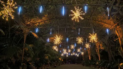 Jard&iacute;n Bot&aacute;nico de La Concepci&oacute;n de M&aacute;laga (Navidad)