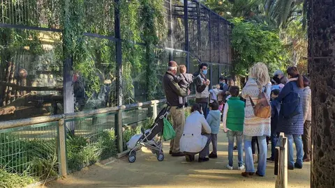 2021: Un gran a&ntilde;o para el Zoo de Jerez