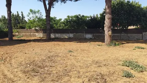 Hallan el cad&aacute;ver de un hombre en Chiclana con un tiro en la cabeza