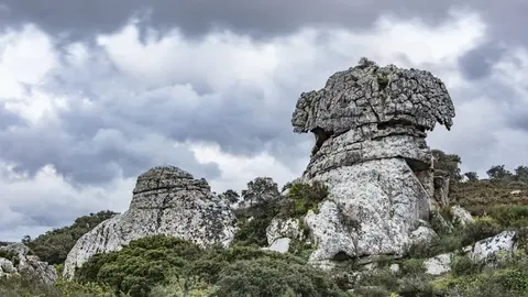 Parque Natural de los Alcornocales: gu&iacute;a para recorrer este gran espacio natural. Foto: Flickr.