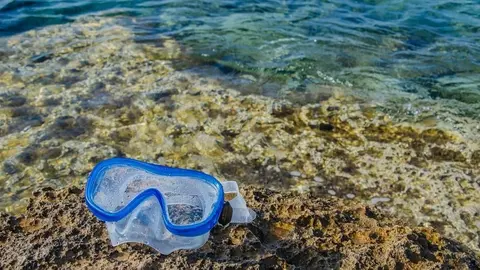 Calas en C&aacute;diz: &iquest;cu&aacute;les son las mejores para hacer snorkel? Foto: Pixabay.