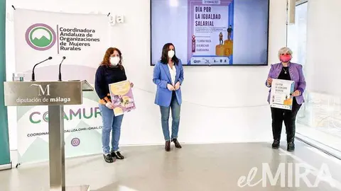 Acto de presentaci&oacute;n de las actividades de la Diputaci&oacute;n de M&aacute;laga por el Dia Europeo de la Igualdad Salarial