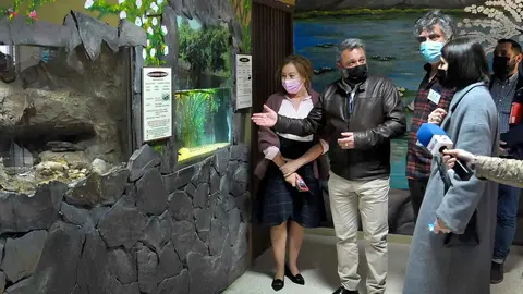 Nuevas instalaciones para reptiles y anfibios en el Zoo de Jerez | Ayuntamiento de Jerez