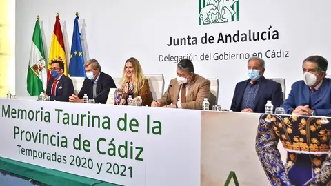 Presentaci&oacute;n de la Memoria