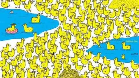 Acertijo Visual Dif&iacute;cil: Encuentra el pollito entre los patos en menos de 1 minuto