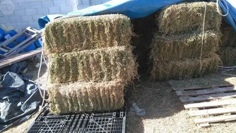 Muere un trabajador tras caer sobre &eacute;l una paca de paja en Gerena