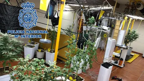 Transforman y adulteran droga antes de venderla en Almer&iacute;a