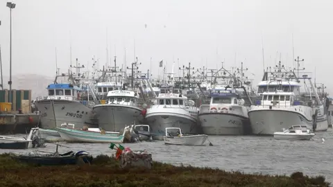 La flota pesquera de Huelva al completo suma su cuarto d&iacute;a consecutivo de parada
