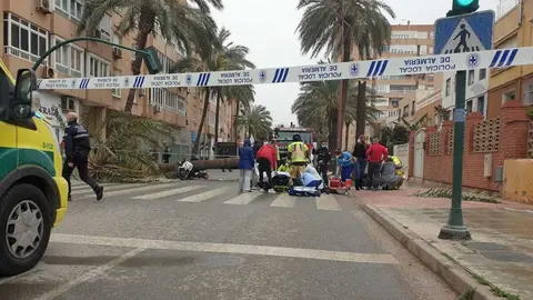 Muere el segundo herido por la ca&iacute;da de una palmera en Almer&iacute;a
